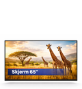 Skjerm 65″