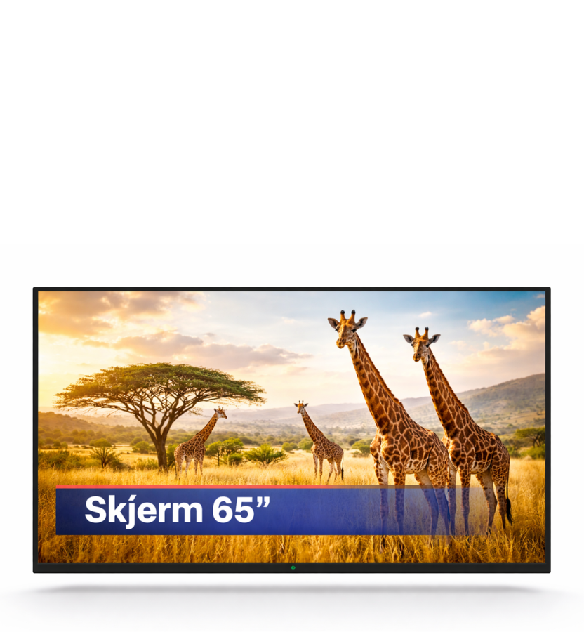 Skjerm 65″