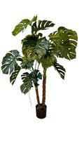 Kunstig plante, Monstera
